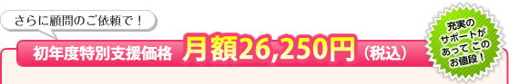 さらに顧問のご依頼で！初年度特別支援価格　月額26,250円（税込）　充実のサポートがあってこのお値段！